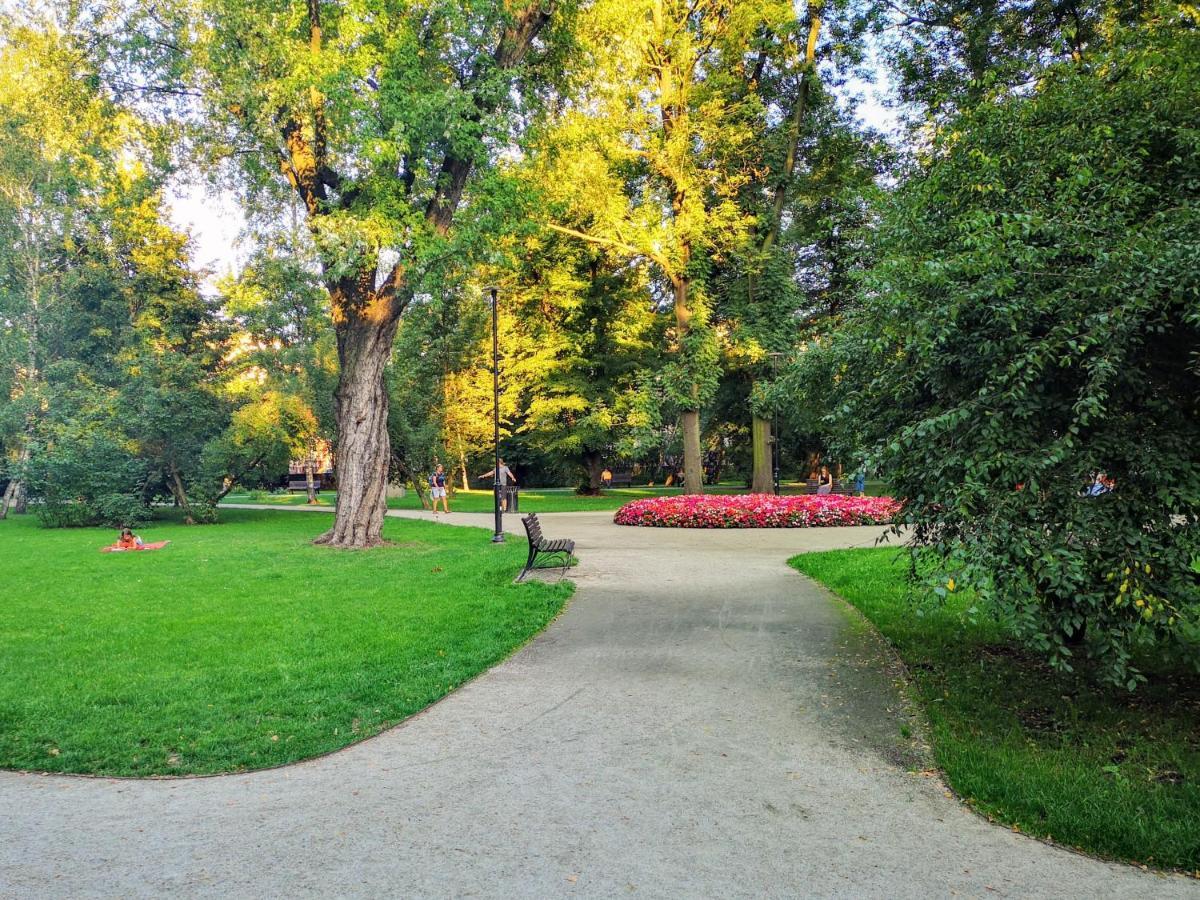Basic, Quiet Close To Main Square Apartment *